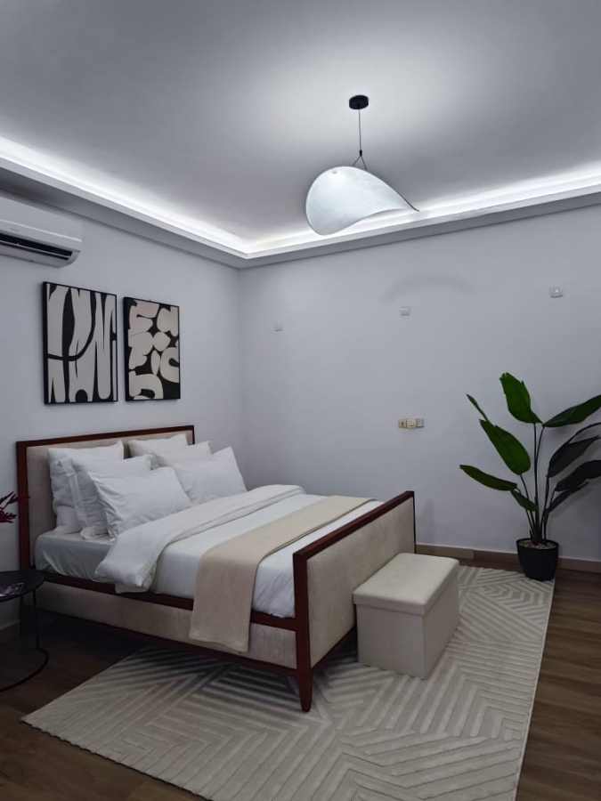 Studio meublé Malraux