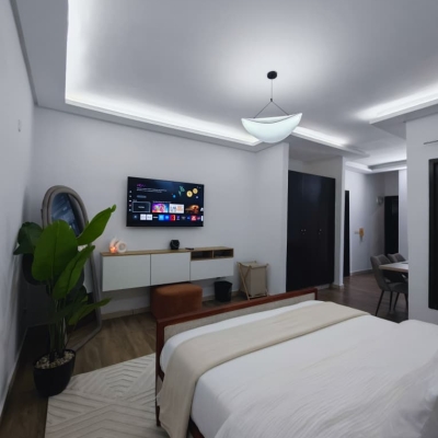 Studio meublé Malraux